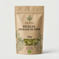 Feuilles de Séné (Sana Makki) – Senna alexandrina – 50g.