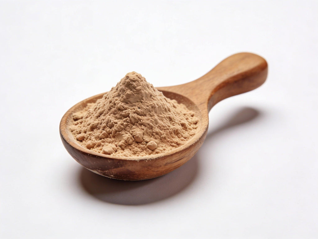 Costus Indien Bio (Saussurea costus) – Poudre Pure 100g.